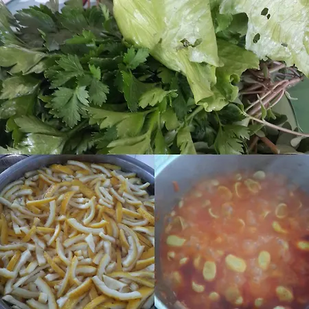 Kus Yuvası Oda ve Kahvaltı 4*