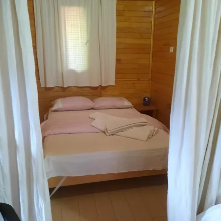 Kus Yuvası