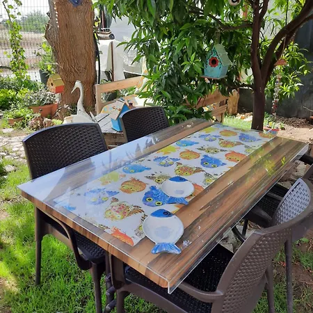 Oda ve Kahvaltı Kus Yuvası Çıralı