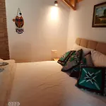 Kus Yuvasi