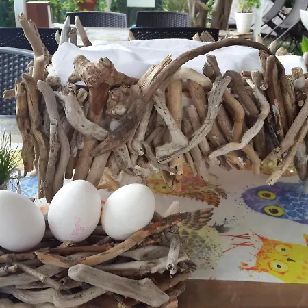 Kus Yuvasi 4* Çıralı