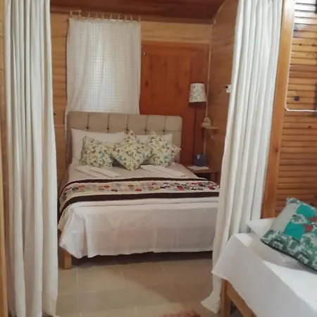 Kus Yuvasi Çıralı