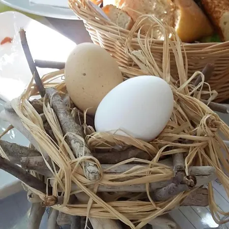 Kus Yuvasi Çıralı