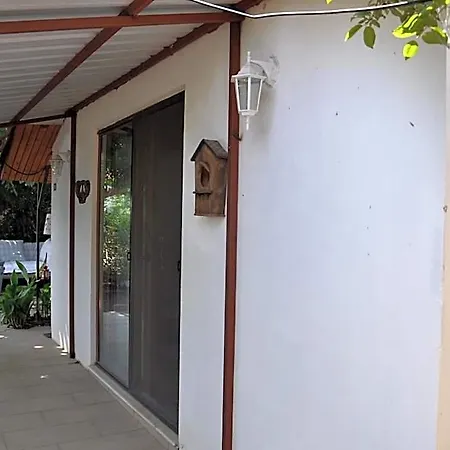 Kus Yuvasi Çıralı
