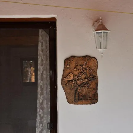 Oda ve Kahvaltı Kus Yuvası